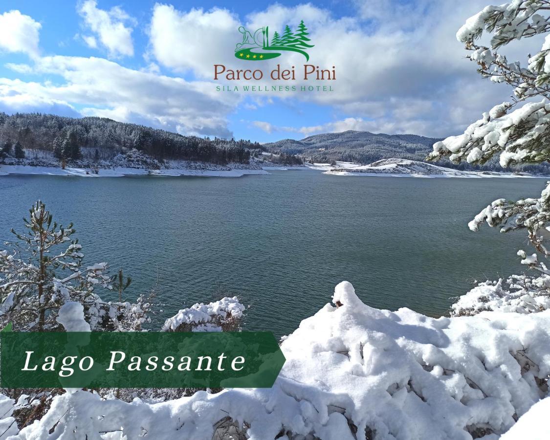 Parco Dei Pini - Sila Wellness Hotel Taverna  Eksteriør billede